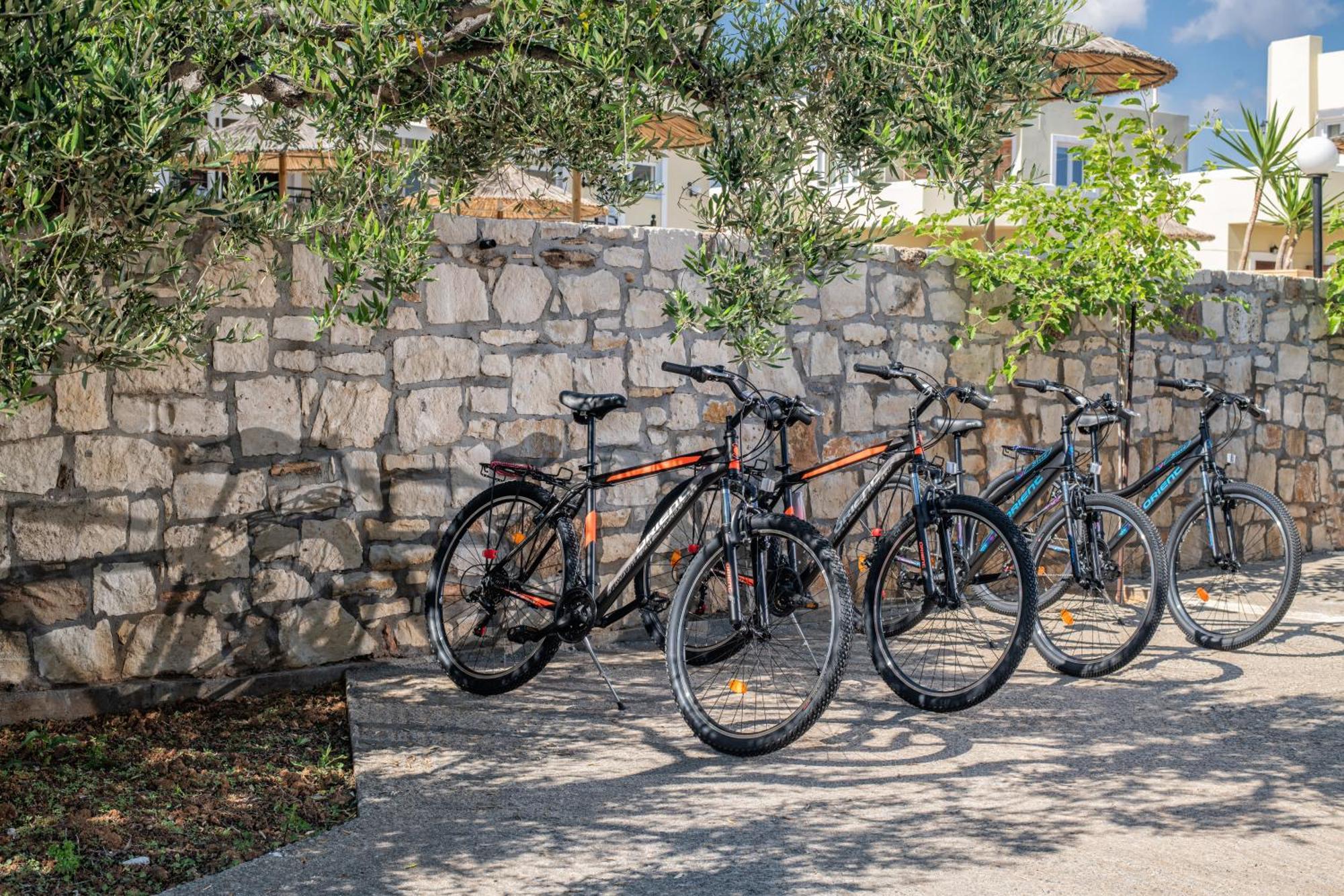 Elea Concept Hotel & Suites Kato Gouves Dış mekan fotoğraf